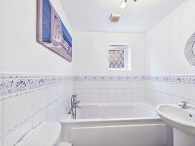 Picture 7